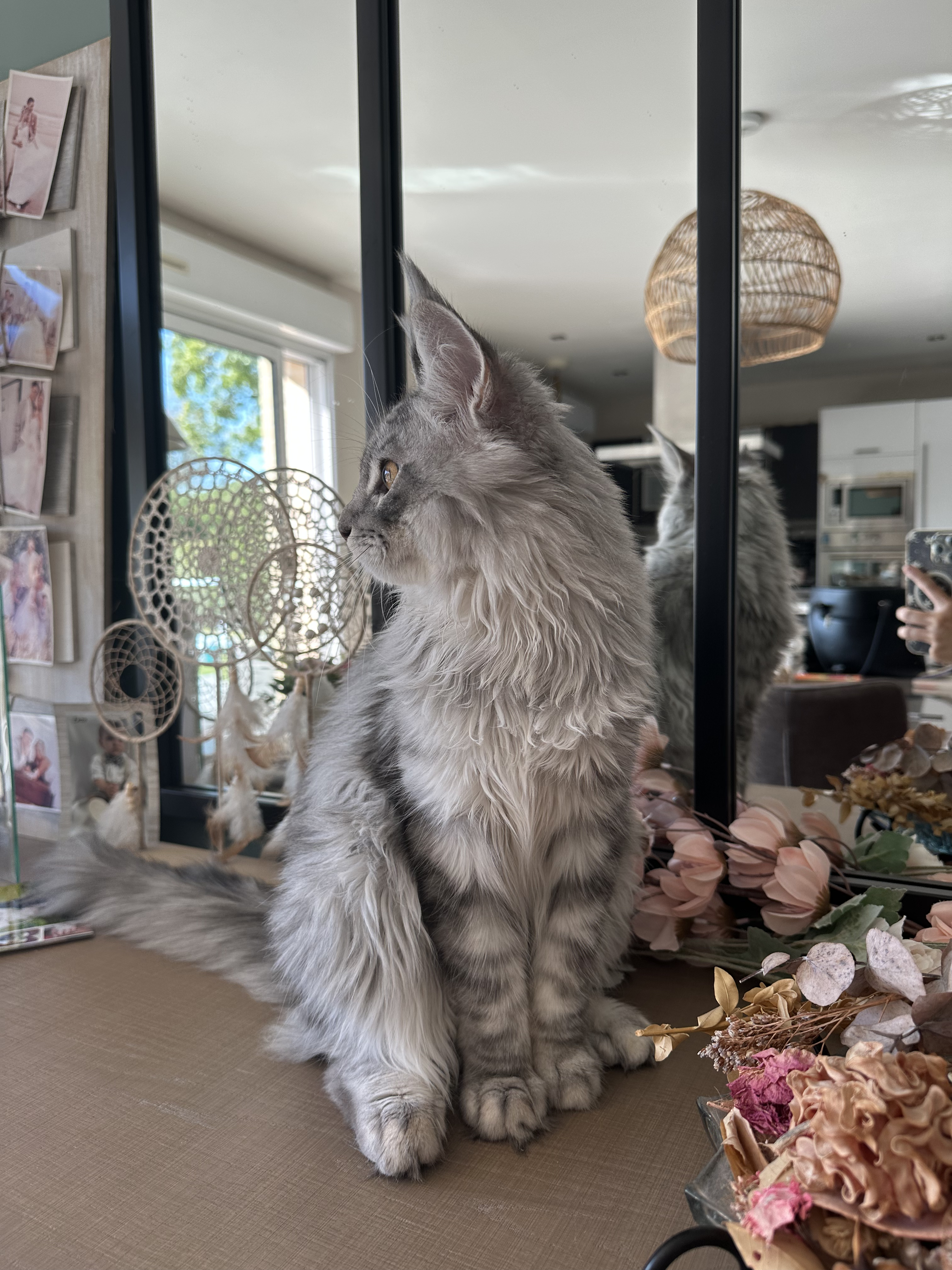 Photo galerie